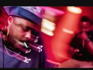 Kelvin Momo – Crazy Kelvin Momo – Crazy