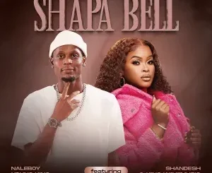 Naleboy Young King – Shapa Bell ft Shandesh & King WaveMusiq