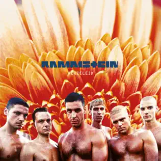 Rammstein – Herzeleid (XXV Anniversary Edition – Remastered) Rammstein – Herzeleid (XXV Anniversary Edition – Remastered)