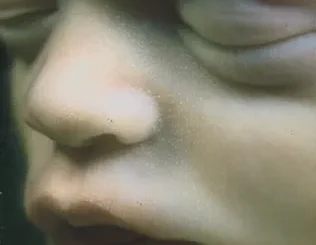 Rammstein – Mutter