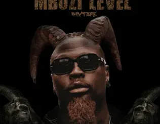 ALBUM: Stilo Magolide – Mbuzi Level Stilo Magolide – Mbuzi Level