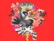 TRESOR – Motion