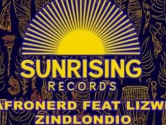 AfroNerd – Zindlondio ft. Lizwi