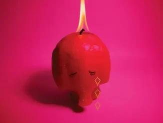 ALBUM: Arcade Fire – Pink Elephant Arcade Fire Pink Elephant