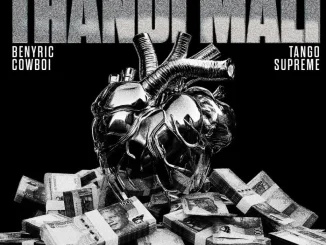 Cyfred – Thandi Mali ft Sayfar, Scotts Maphuma, BenyRic, CowBoii & Tango Supreme