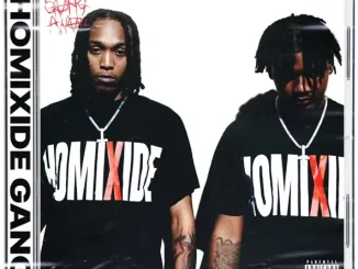 Homixide Gang Homixide Lifestyle