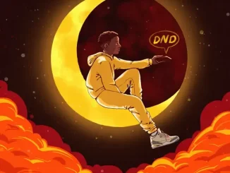 Kidwild - DND Pt. 2 (feat. Nemzzz) Kidwild DND Pt. 2 (feat. Nemzzz)