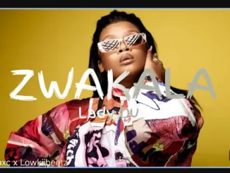 Lady Du – Zwakala ft Mr JazziQ, Boohle, Dbn Gogo & Megadrumz
