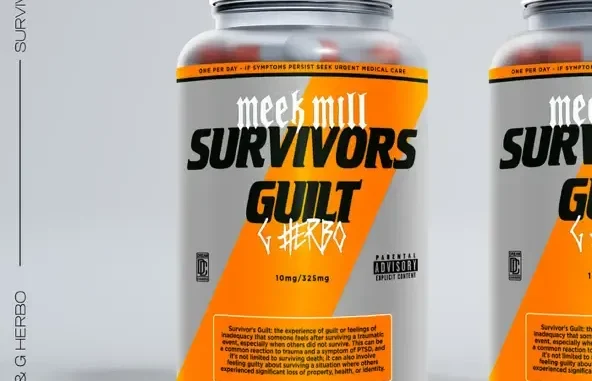 Meek Mill Survivor’s Guilt (feat. G Herbo) Meek Mill Survivor’s Guilt (feat. G Herbo)