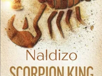 Naldizo – Hello 2.0(Scorpion Kings Hello Inspired) Naldizo – Hello 2.0(Scorpion Kings Hello Inspired)