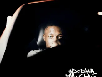 Nandipha808 ft Mpho Spizzy, Nevrr49 & DT.MO – Government