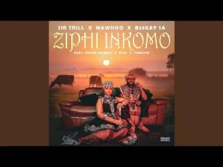 Sir Trill x MaWhoo x B33kay SA Ziphi Inkomo (Official Audio) feat. Frank Mabeat, Dj 2k & Tumisho