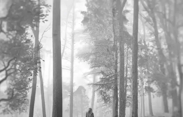 Taylor Swift folklore (deluxe version) Taylor Swift folklore (deluxe version)