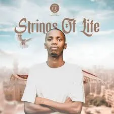 Toolz Umazelaphi – Strings of Life Toolz Umazelaphi – Strings of Life