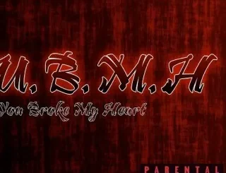 Touchline – You Broke My Heart