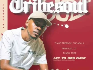 TribeSoul – Spirit Fest Amapiano Mix TribeSoul – Spirit Fest Amapiano Mix