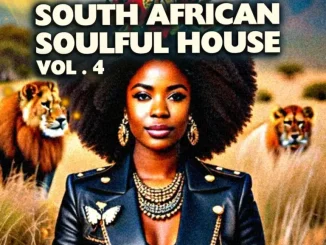 VA – South African Soulful House, Vol. 4