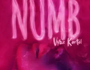 ALBUM: Vybz Kartel – Numb Vybz Kartel – Numb