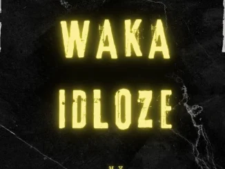 Waka idloze – Heat 19