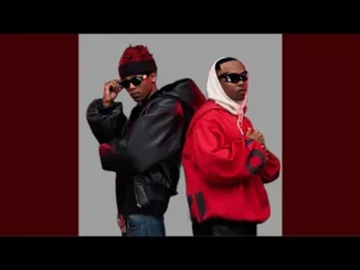 Xduppy, Mellow & Sleazy, Last Born Diroba 5k (Official Audio) feat. Scotts Maphuma