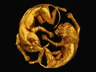 Beyoncé The Lion King The Gift