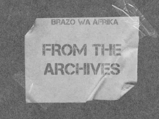 Album: Brazo Wa Afrika - From The Archives Brazo Wa Afrika – From The Archives