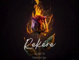 Caltonic SA ft Perspectiv Soul, Tumisho & Lesedi – Rekere Caltonic SA – Rekere ft Perspectiv Soul, Tumisho & Lesedi