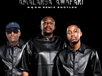 Dankie Boi – Amalanga Awafani ( Gqom Bootleg Remix) ft Mas Musiq
