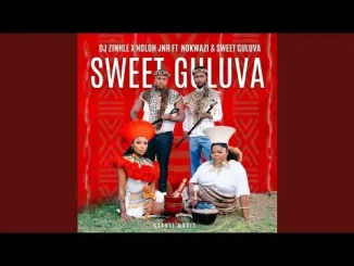 Dj Zinhle & NDLOH JNR feat. Nokwazi & Sweet Guluva – Sweet Guluva Dj Zinhle & NDLOH JNR Sweet Guluva (Official Audio) feat. Nokwazi & Sweet Guluva