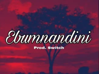 Dlala Thukzin – Ebumnandini (StatRazo) ft Ocar Mbo & Prod. Switch