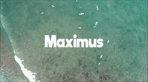 Dlala Thukzin – Mali (DJ Max Remix) ft Zee Nxumalo