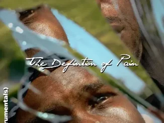 J. Stone The Definition of Pain (Instrumentals)