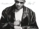 JAY Z In My Lifetime, Vol 1