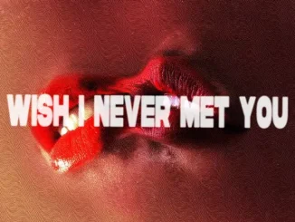 Jacob Vallen & Tory Lanez - Wish I Never Met You Jacob Vallen & Tory Lanez Wish I Never Met You