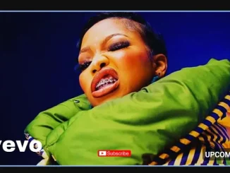 Kabza De Small ft Kelvin Momo, DJ Maphorisa, Babalwa M & Zee Nxumalo – Thando Kabza De Small – Thando ft Kelvin Momo, DJ Maphorisa, Babalwa M & Zee Nxumalo