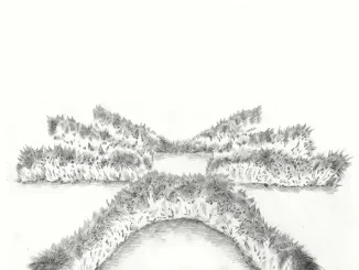 MAVI - Landgrab (feat. Earl Sweatshirt) MAVI Landgrab (feat. Earl Sweatshirt)