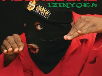 ALBUM: Mzekezeke – Izinyoka Mzekezeke Izinyoka