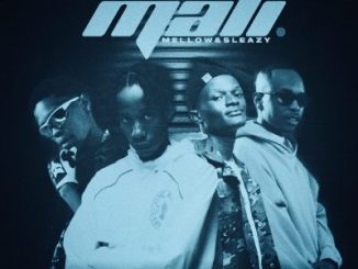 Novatron – Mali ft Hotfurze, Mellow, Sleazy, Mpho Spizzy & D’ Braz