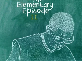 Officixl RSA – An Elementary Episode II