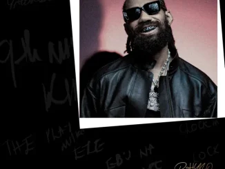 ALBUM: Phyno – Full Time Job Phyno Full Time Job