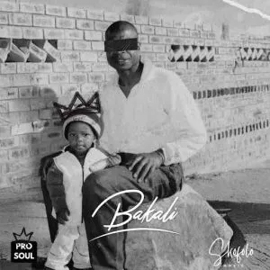 ProSoul – Bakali ProSoul – Bakali