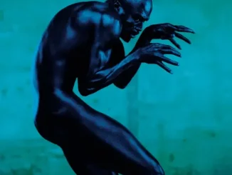 Seal Human Being