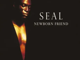 Seal Newborn Friend