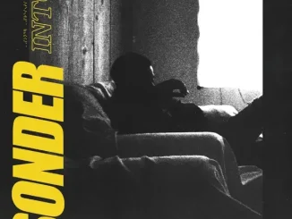 Sonder Into