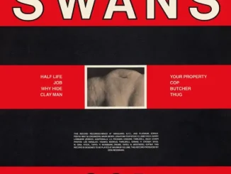 Swans Cop Young God
