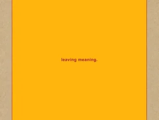 Swans Leaving Meaning