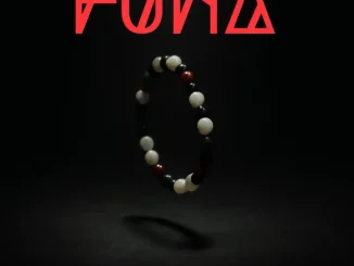 Swizxle – Funa 3 step Swizxle – Funa 3 step