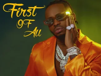 ALBUM: Diamond Platnumz – First Of All 592x592bb