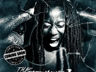 Ace Hood - The Statement 2