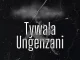 Afro Cowboy & Viibe ZA – Tywala Ungenzani